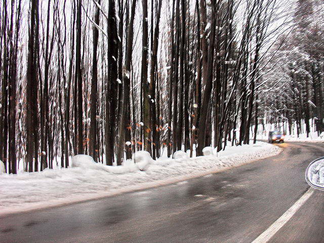 Sur le chemin, quelques prises de vue.