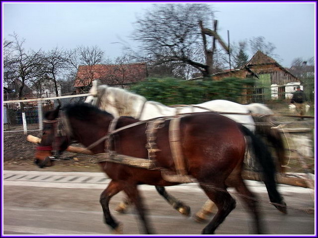 Nous quittons SATU MARE vers 7h pour rejoindre Craiova par les Carpartes.