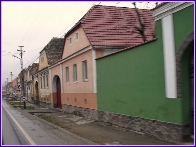 Toujours aussi admiratif devant ces couleurs chatoyantes