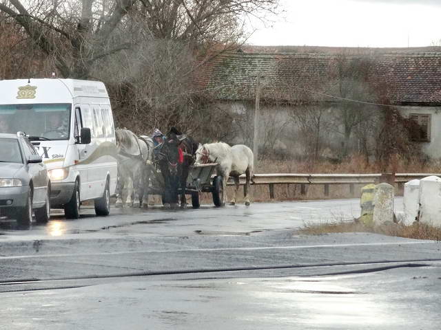  Ville mdivale de Siglisoara, proche de la distribution.