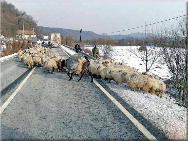 Sur la route de Medias, avec des tempratures sibriennnes, le 9 janvier