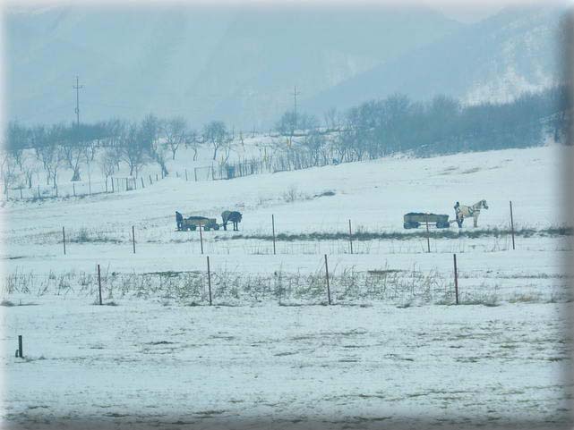  Le 11 janvier, sur la route des Carpates pour rejoindre Craiova