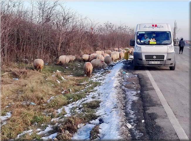  14 janvier : retour au pays, nous quittons la Roumanie