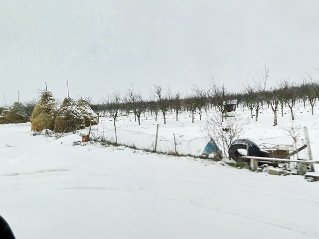  sur la route qui nous conduit en France. Derniers paysages en Roumanie.