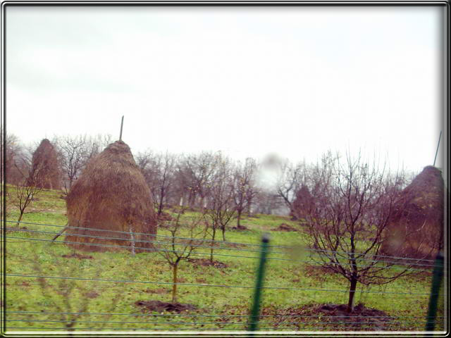 Nous quittons MEDIAS pour rejoindre CRAIOVA, en traversant les Carpates du Sud  travers des paysages traditionnels.